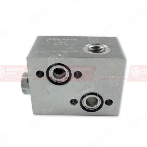 Van giảm áp/Van chống tự xoay ngáng DRF | 9238280791