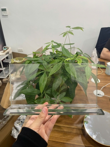 Biển Chức Danh Mica - Đế Mica