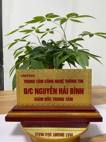 Biển Chức Danh Tam Cấp Mặt Đồng 2mm 11x22cm (Mẫu Viettel)