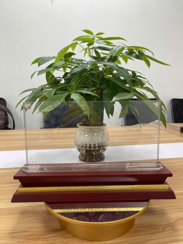 Biển Chức Danh Mica Đế Gỗ Mặt 12.5x25cm