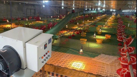 Máy sưởi công nghiệp 30KW dùng điện, diện tích sưởi 300m2