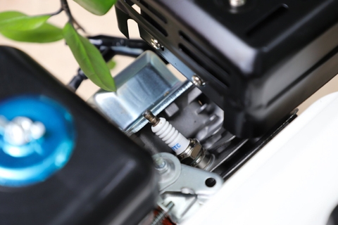 Động cơ nổ Pona PN160 5.5HP Cam-trắng-đen 4 thì