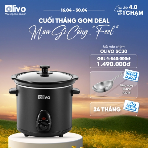 Nồi Nấu Chậm OLIVO SC30 - 3 Mức Nhiệt Cài Sẵn - Điều Khiển Núm Xoay - Lòng Gốm Tráng Men - Nắp Kính Cường Lực - Dung tích 3L