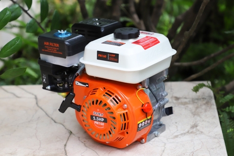 Động cơ nổ Pona PN160 5.5HP Cam-trắng-đen 4 thì