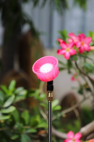 Máy phun thuốc trừ sâu, côn trùng điện KCT KCT-16D-ắc quy Vàng Bình ắc quy 12V8Ah