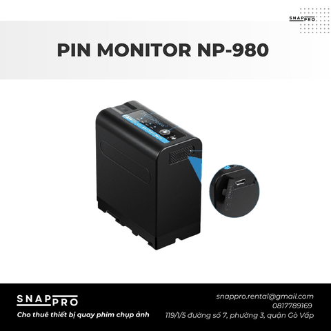 Pin monitor NP-980