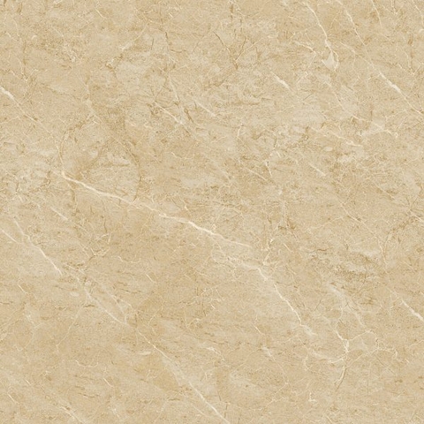 Gạch lát nền 03