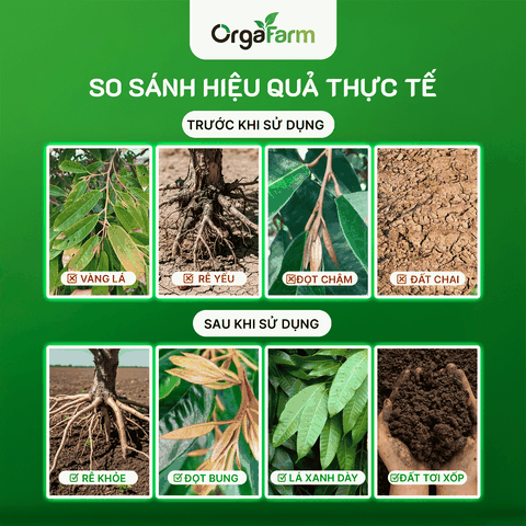 NPK Hữu Cơ OrgaFarm - Siêu Kích Rễ Bung Đọt - 5L