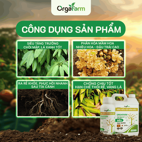 NPK Hữu Cơ OrgaFarm - Siêu Tăng Trưởng - 5L