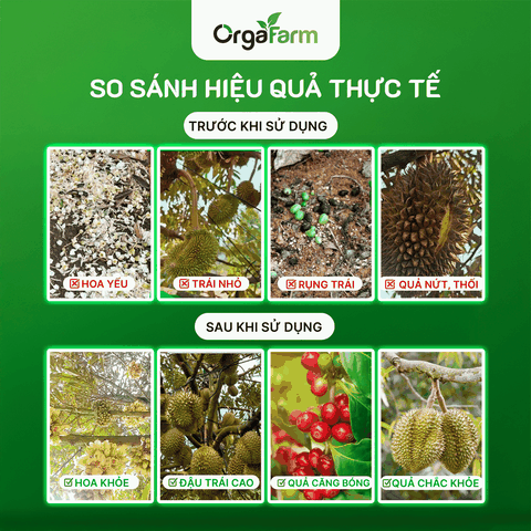 Canxi Bo ORGAFARM Chống Rụng Trái, Nứt Trái - 0,5L