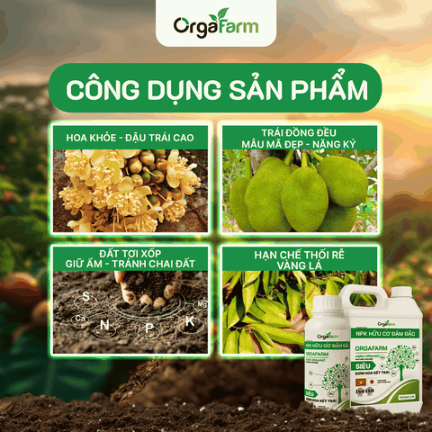 NPK Hữu Cơ OrgaFarm - Siêu Đơm Hoa Kết Trái - 20L