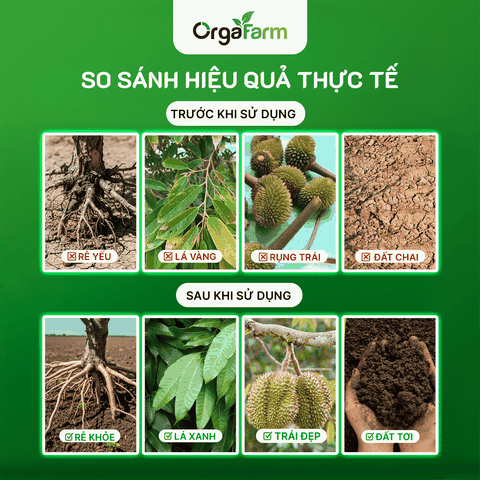Phân Bón Hữu Cơ Humic OrgaFarm - 1KG