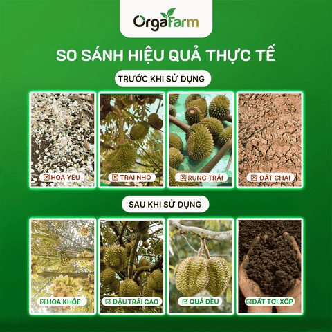 NPK Hữu Cơ OrgaFarm - Siêu Đơm Hoa Kết Trái - 5L