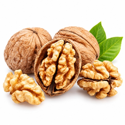 QUA OC CHO WALNUTS (TINH BANG GRAM)