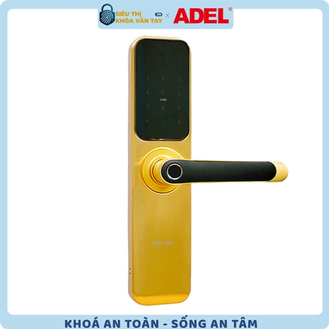 Khoá vân tay Adel cửa gỗ US13 - LG18B/LB18B