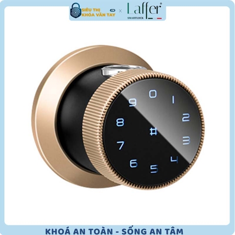 Khóa Vân Tay Cửa Phòng Laffer B12