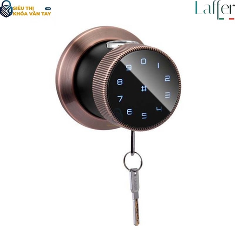 Khóa Vân Tay Cửa Phòng Laffer B12