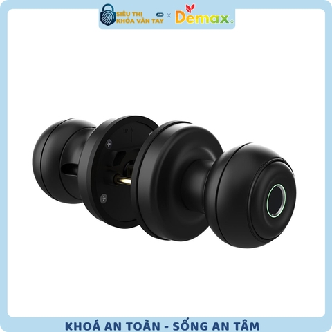 Khoá Vân Tay Cửa Phòng Demax SL106