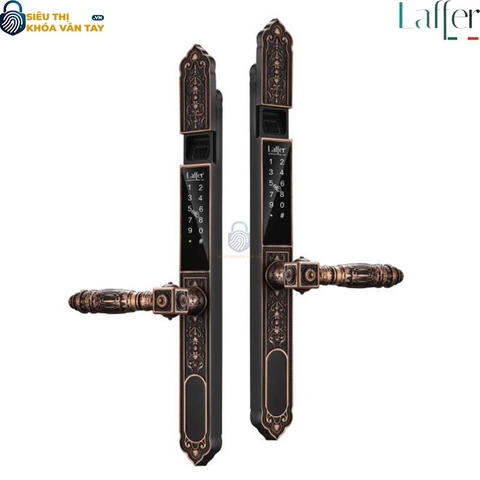 Khóa Vân Tay Cửa Cổng Laffer WA02