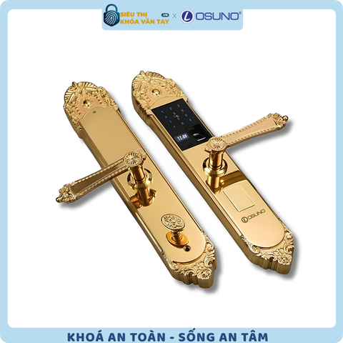 Khóa vân tay đại sảnh Osuno OSN-KBT05
