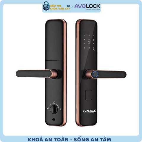 Khóa Vân Tay Avolock Cửa Gỗ  AV 65