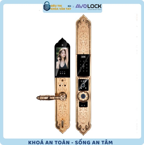 Khóa Vân Tay Avolock Đại Sảnh AC 996F