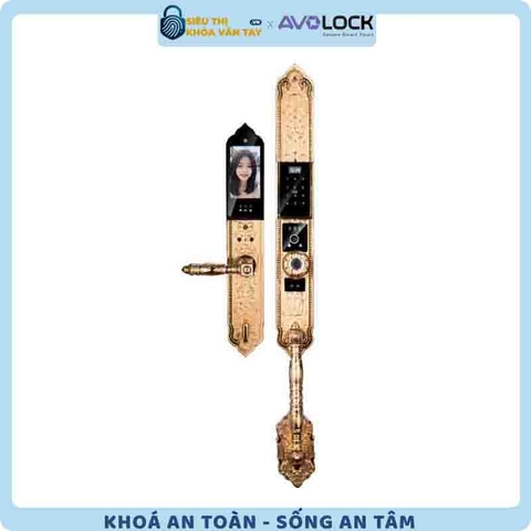 Khóa Vân Tay Avolock Đại Sảnh AC 997F