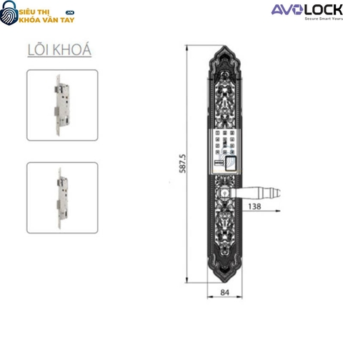 Khóa Vân Tay Avolock Đại Sảnh AC 998F