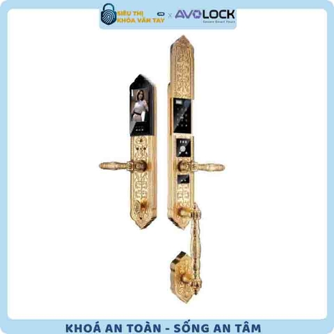Khóa Vân Tay Đại Sảnh Avolock AC 999F