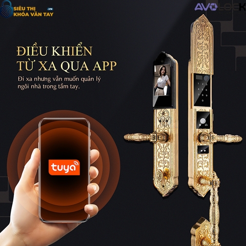 Khóa Vân Tay Đại Sảnh Avolock AC 999F