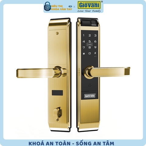 Khóa vân tay Giovani cửa gỗ GSL-C138FG màu vàng