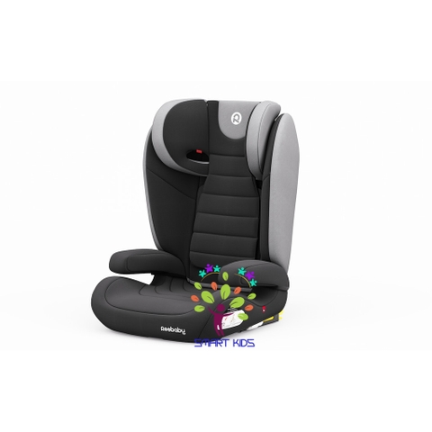 Ghế Ngồi ô Tô Trẻ Em Reebaby A23+ FX Multi Extend