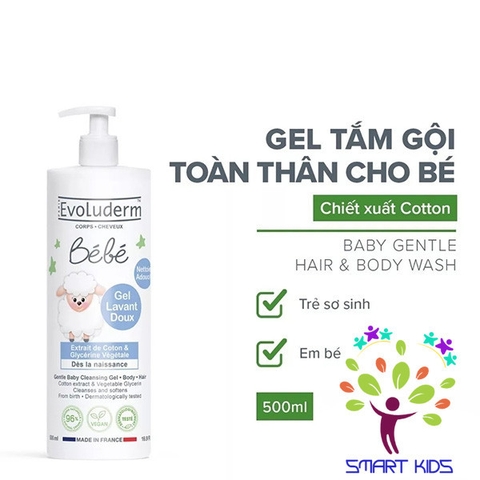Sữa Tắm Gội Em Bé Evoluderm Bébé 500ml