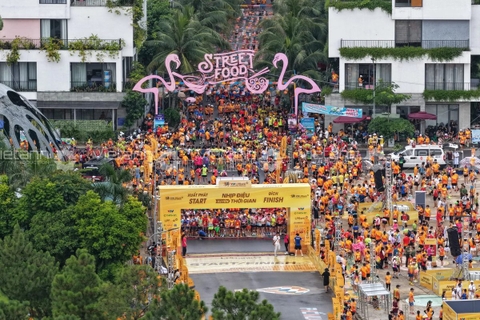 Dự Án Giải Marathon Quốc Tế VTV LPBank 2025 – Nhịp Điệu Xuyên Thời Gian