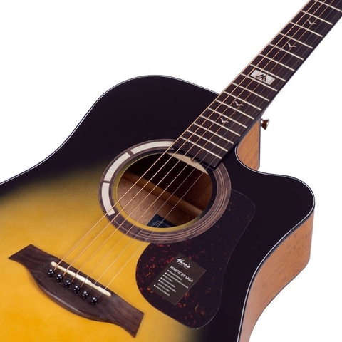 Đàn Guitar Acoustic Mantic GT-1DC