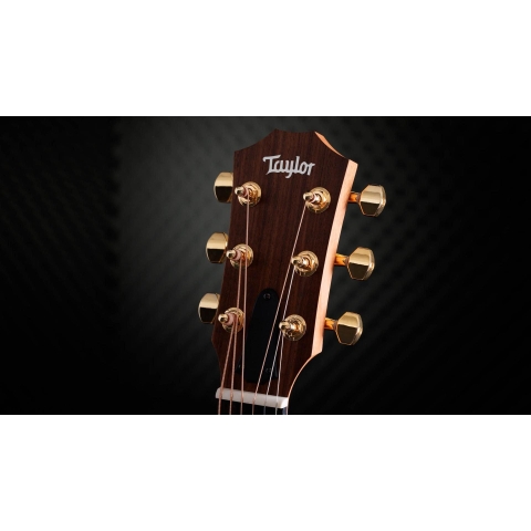 Đàn Guitar Acoustic Taylor 50th Anniversary GS Mini-e Rosewood SB LTD