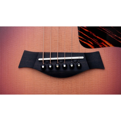 Đàn Guitar Acoustic Taylor 50th Anniversary GS Mini-e Rosewood SB LTD