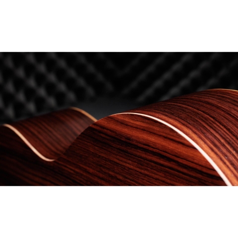 Đàn Guitar Acoustic Taylor 50th Anniversary GS Mini-e Rosewood SB LTD