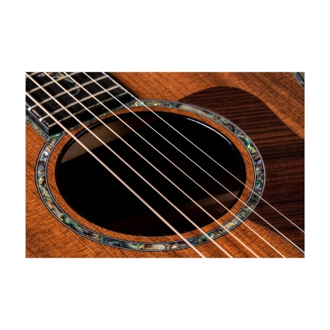 Đàn Guitar Acoustic Taylor PS14ce Honduran Rosewood