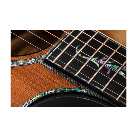 Đàn Guitar Acoustic Taylor PS14ce Honduran Rosewood