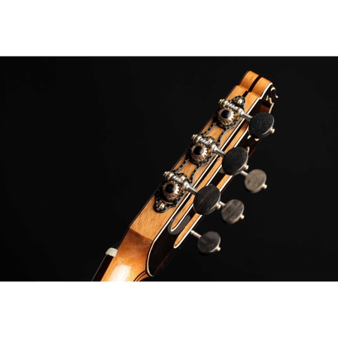 Đàn Guitar Classic Hanika Fusion PC