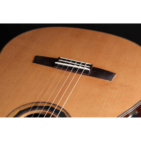 Đàn Guitar Classic Hanika Fusion PC