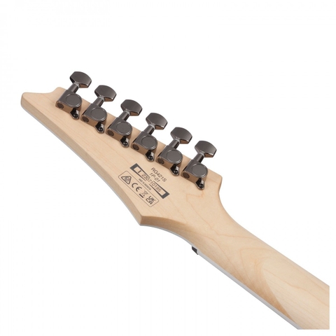 Đàn Guitar Điện Ibanez RG421S RG Standard, Sea Shore Matte