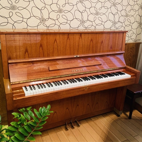 Đàn Piano Upright Yamaha W104