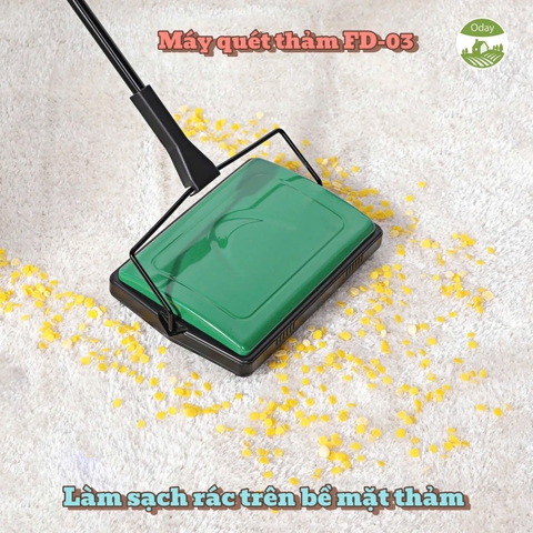 Cách vệ sinh thảm trải sàn phòng khách tại nhà đơn giản mà hiệu quả