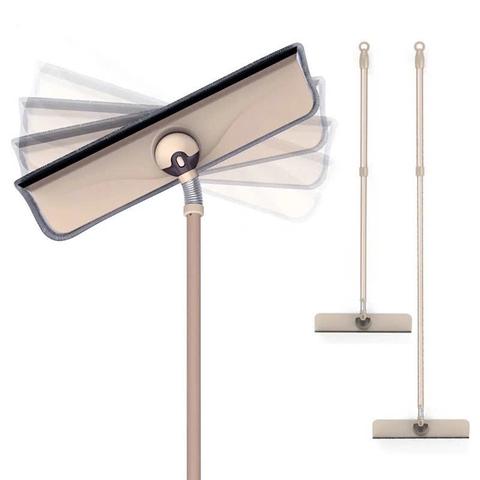 Cây lau kính Oday C5