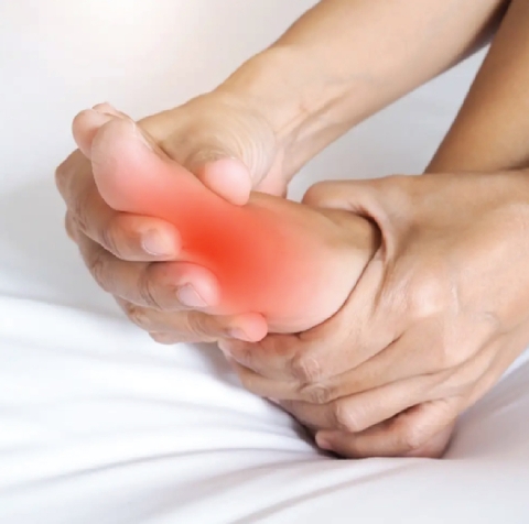 Giải Pháp Toàn Diện Cho Bệnh Gout 2025: Giảm Acid Uric Tự Nhiên Với Thảo Dược Quý