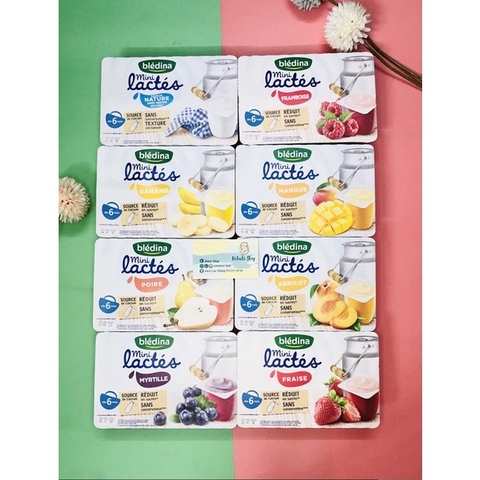 Sữa chua Bledina mini lactes