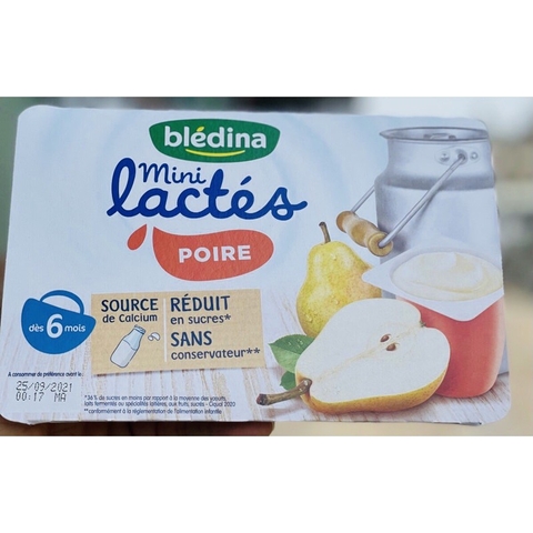 Sữa chua Bledina mini lactes