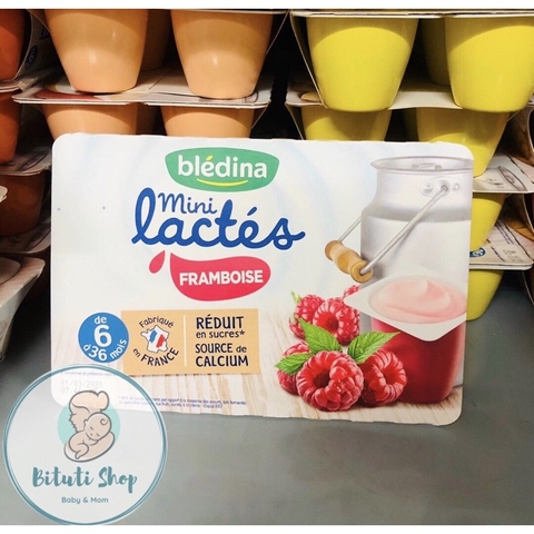 Sữa chua Bledina mini lactes